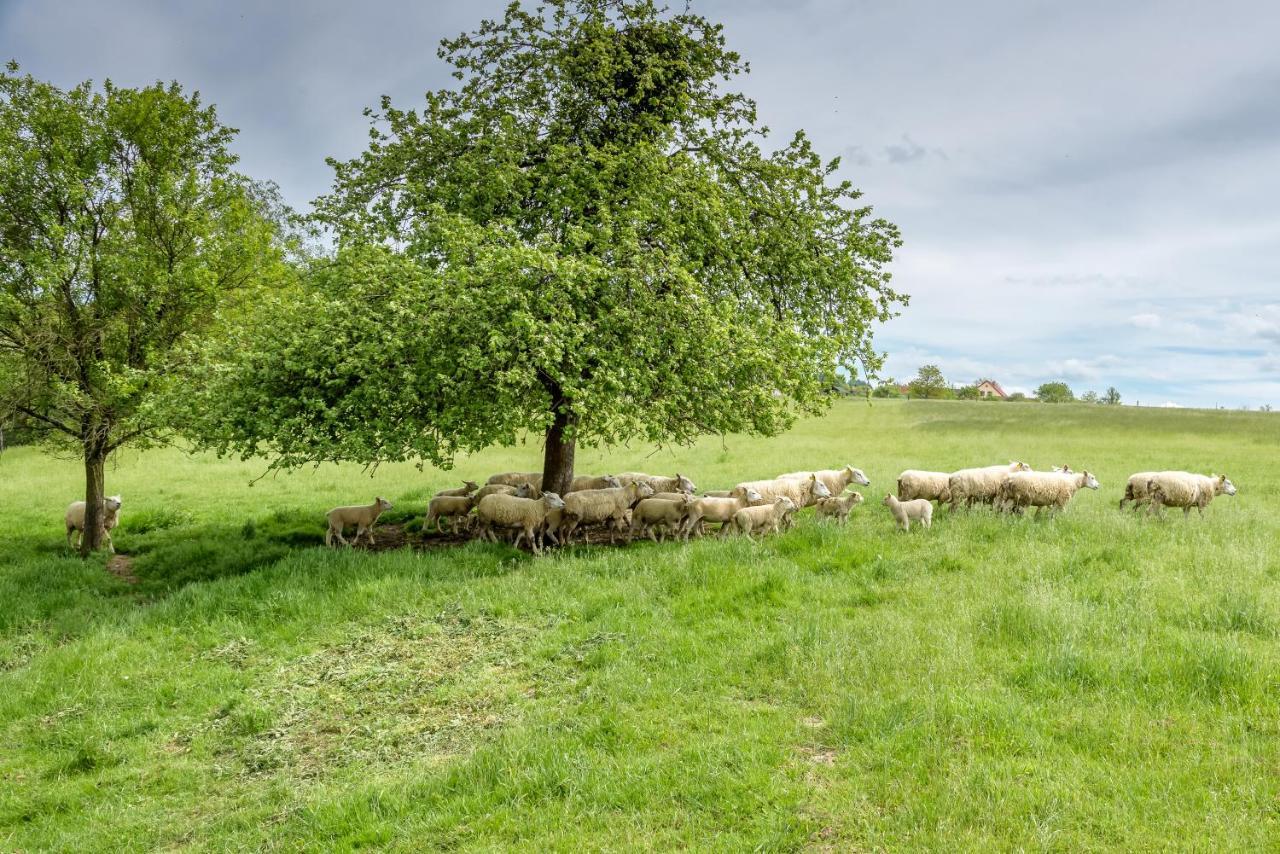 فيلا Agroturistika - "Domecek U Ovecek" Horní Těrlicko المظهر الخارجي الصورة