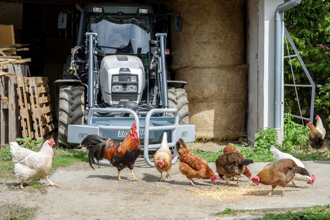 فيلا Agroturistika - "Domecek U Ovecek" Horní Těrlicko المظهر الخارجي الصورة