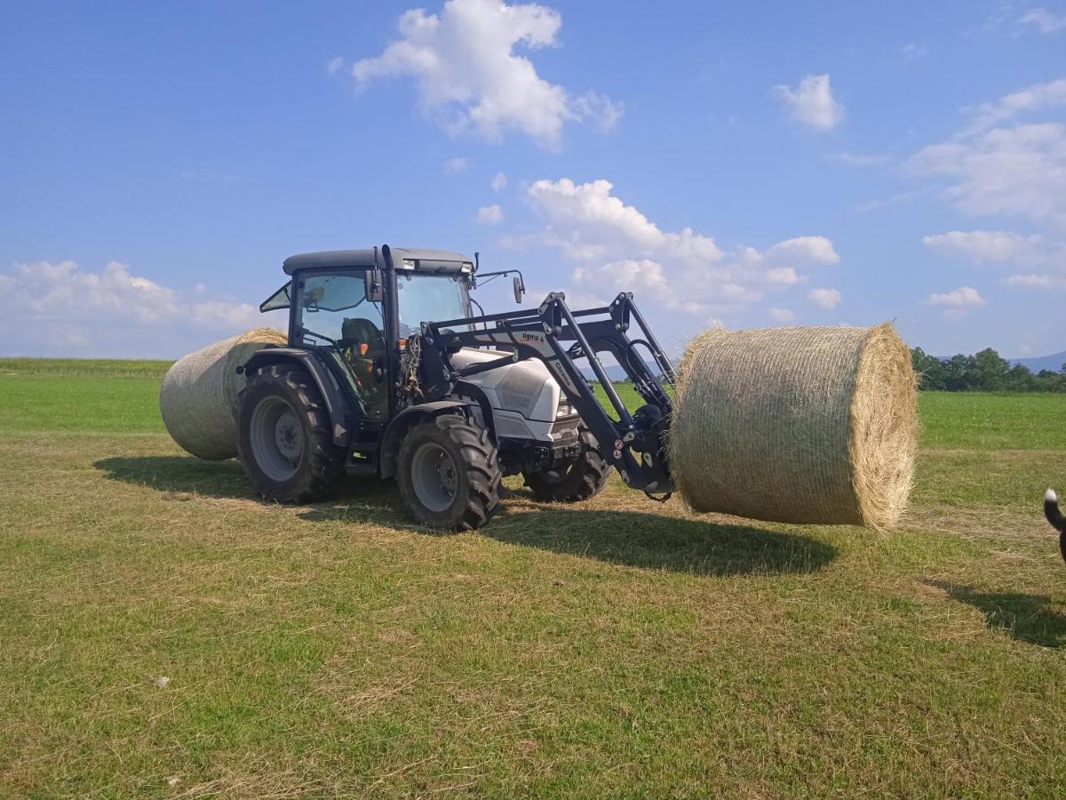 فيلا Agroturistika - "Domecek U Ovecek" Horní Těrlicko المظهر الخارجي الصورة